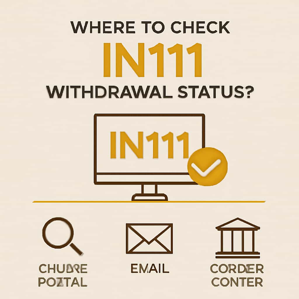 An educational diagram on how to check IN111 withdrawal status.